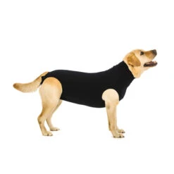 Suitical Recovery Suit Hond - Zwart -Hondenbenodigdheden Winkel 030c0c95b2225b3f51d0531451c332d22240a6793456a94550dc3c51446b2a0a 5