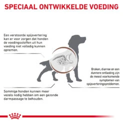 Royal Canin Gastrointestinal High Fibre Hond -Hondenbenodigdheden Winkel 0RfT5GcYlB6CwXEOcIf67bsir9yZhq metaR0FTVFJPSU5URVNUSU5BTC1ISUdILUZJQlJFLTMuanBn