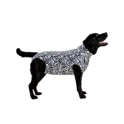 Medical Pet Shirt Hond Zebra Print -Hondenbenodigdheden Winkel 0f9a9f5fffdff5efe6594b6dde2fa2ebe79eb5a6ac69d24ed2fecf0d63c927a3 4
