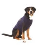 Medical Pet Shirt Hond 1 Medical Pet Shirt Hond -Hondenbenodigdheden Winkel 168712b464eacd32ef0ae49d7af9c1d4c302bc0d207cb92f9bac4818409a23e8 5