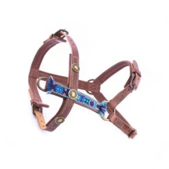 DWAM Hondentuigje Boho Juan -Hondenbenodigdheden Winkel 2c2077b8e711bc34076dec878261afb8d5354c38d0e6a8d8fee4fd671fac6249 3