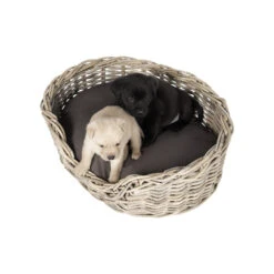 51 Degrees North Rattan Basket -Hondenbenodigdheden Winkel 51 degrees north rattan basket 209954 1000 none