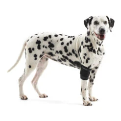 Kruuse Rehab Elleboogbeschermer -Hondenbenodigdheden Winkel 707a1307f57d4b5032cf99e3784b03141ed01b9c9317fa83ee1f29943ae9e06b 4