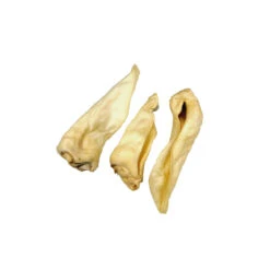 Competition Geitenoren Adult -Hondenbenodigdheden Winkel 739152c17d3f9a966001e738d8accc97158ed8f8e8828c83c2652bad537110c2 3 5