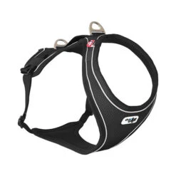 Curli Belka Comfort Harness -Hondenbenodigdheden Winkel 9bad86baa83297d85525430814e952832373a5e81c35c60077ef800d681f4846 3