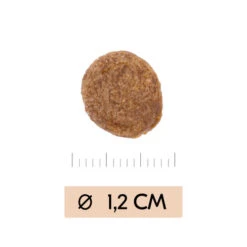 Vetality Gastrointestinal - Hondenvoer -Hondenbenodigdheden Winkel B8NEQsyeCQch4UgKShIZcxtA0bCPPX metadmV0YWxpdHlfZ2FzdHJvaW50ZXN0aW5hbF9faG9uZGVudm9lcl8xOTU0NDlfMDUwMF9ub25lLmpwZw