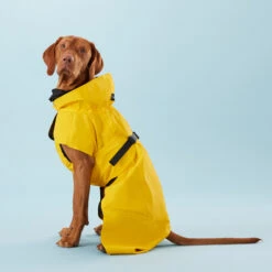 PAIKKA Visibility Raincoat Lite Yellow 11 PAIKKA Visibility Raincoat Lite Yellow -Hondenbenodigdheden Winkel PClMHEr7OU9sOGs5uS5yRaglBqAzmp metaUGFpa2thLVZpc2liaWxpdHktUmFpbmNvYXQtTGl0ZS1ZZWxsb3czLmpwZw