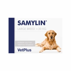 Vetplus Samylin - Tabletten -Hondenbenodigdheden Winkel TMpWTAiSQVnLBFciegVunVUDv8tzTF metadmV0cGx1c19zYW15bGluXzIwNDUxOF8wNTAwX25vbmUucG5n