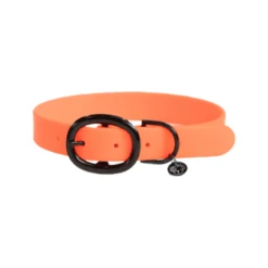 Kentucky Dogwear Soft Rubber Hondenhalsband -Hondenbenodigdheden Winkel W9DEGARRXWWjvdN5yXATvyBYWHTJ9t metaS2VudHVja3ktRG9nd2Vhci1Tb2Z0LVJ1YmJlci1Ib25kZW5oYWxzYmFuZC1vcmFuZ2UucG5n