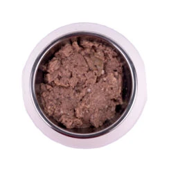 Vetality Hypoallergenic Dog Wet -Hondenbenodigdheden Winkel aD5BKSvWOhPWSFlQCqbOtqllNLdksq metaVmV0YWxpdHktSHlwb2FsbGVyZ2VuaWMtRG9nLVdldC5qcGc