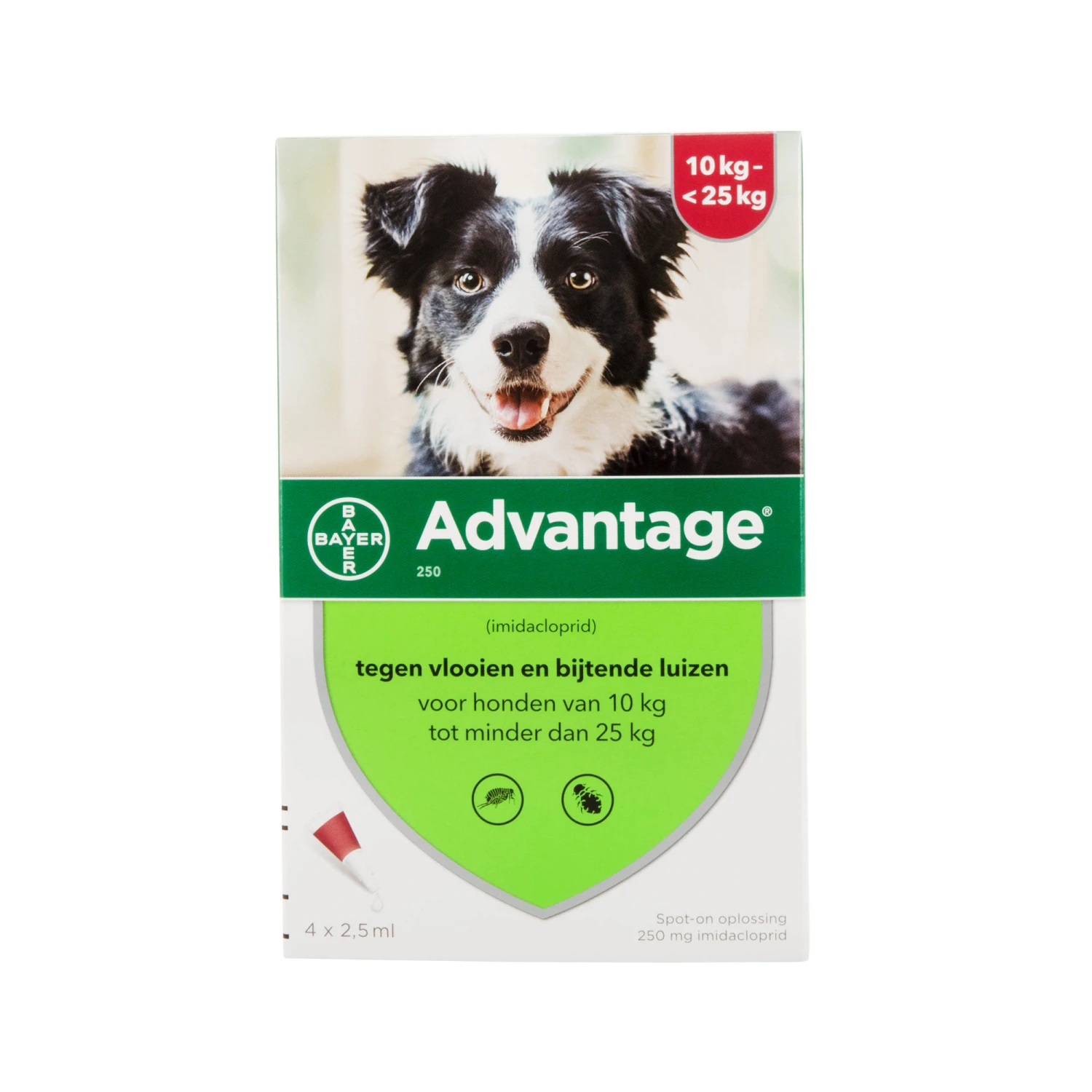 Advantage Hond - Afbeelding 2