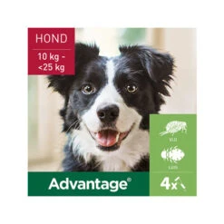 Advantage Hond -Hondenbenodigdheden Winkel advantage hond 180880 0500 none