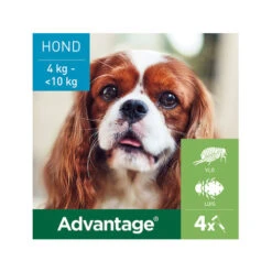 Advantage Hond -Hondenbenodigdheden Winkel advantage hond 180883 0500 none