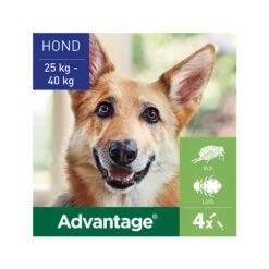 Advantage Hond -Hondenbenodigdheden Winkel advantage hond 180886 0500 none