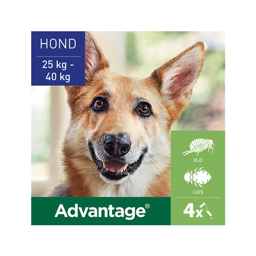 Advantage Hond - Afbeelding 16