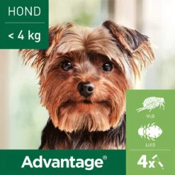 Advantage Hond -Hondenbenodigdheden Winkel advantage hond 180892 1000 none