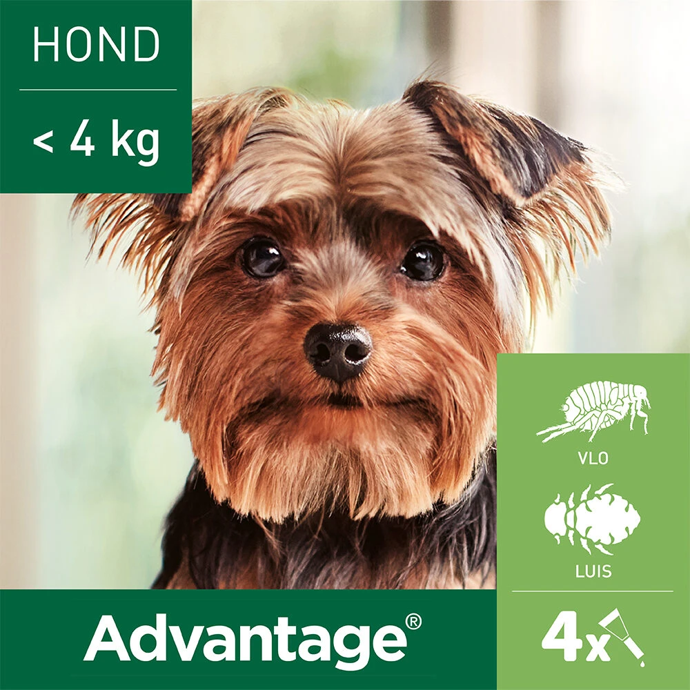 Advantage Hond - Afbeelding 11