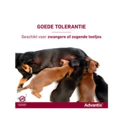 Advantix 41 Advantix -Hondenbenodigdheden Winkel advantix 174214 0500 none