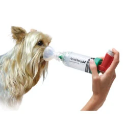 AeroDawg Inhalatiesysteem -Hondenbenodigdheden Winkel aerodawg inhalatiesysteem 134986 2000 none
