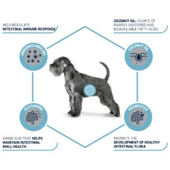 Affinity Advance Veterinary Diets Gastroenteric Hond -Hondenbenodigdheden Winkel affinity advance veterinary diets gastroenteric hond 177655 1500 none