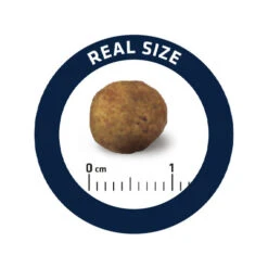 Affinity Advance Veterinary Diets Gastroenteric Hond -Hondenbenodigdheden Winkel affinity advance veterinary diets gastroenteric hond 177679 0500 none