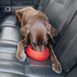 Kurgo Splash Free Wander Water Bowl 15 Kurgo Splash Free Wander Water Bowl -Hondenbenodigdheden Winkel altranet splash free wander water bowl 222778 0500 none