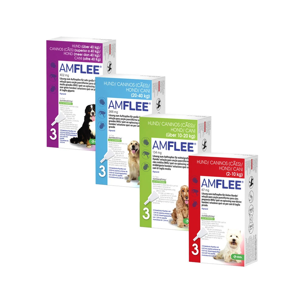 Amflee Spot-on Hond 4 Amflee Spot-on Hond - Afbeelding 2