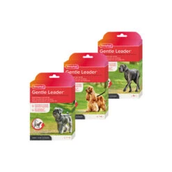 Beaphar Gentle Leader -Hondenbenodigdheden Winkel beaphar gentle leader 210173 0500 none