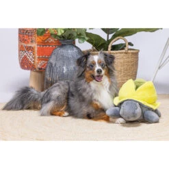 Beeztees Hide And Seek Schildo -Hondenbenodigdheden Winkel beeztees hide and seek schildo 221787 2000 none