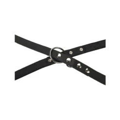 Beeztees Hondenriem Leer -Hondenbenodigdheden Winkel beeztees hondenriem leer 199292 1000 none