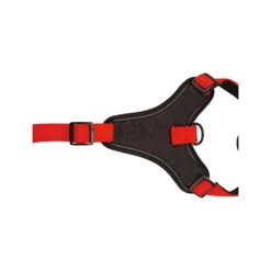 Beeztees Parinca Premium Y-tuig 36 Beeztees Parinca Premium Y-tuig -Hondenbenodigdheden Winkel beeztees parinca premium y tuig 199589 2000 none