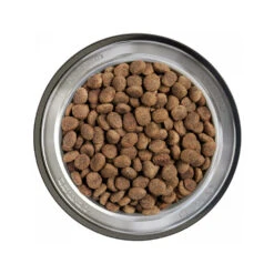 Belcando Finest Senior Graanvrij -Hondenbenodigdheden Winkel belcando finest senior graanvrij 217783 1000 none