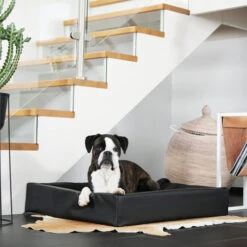 Bia Kunstleer Hoes 31 Bia Kunstleer Hoes -Hondenbenodigdheden Winkel bia kunstleer hoes taupe 164125 0500 none