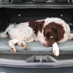 Bia Original Matras Zwart -Hondenbenodigdheden Winkel bia original matras zwart 164062 0500 none