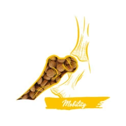 Calibra Dog Expert Nutrition Mobility 12 Calibra Dog Expert Nutrition Mobility -Hondenbenodigdheden Winkel calibra dog expert nutrition mobility 163522 1000 none