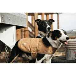 Carhartt Dog Chore Coat 17 Carhartt Dog Chore Coat -Hondenbenodigdheden Winkel carhartt dog chore coat 186748 0500 none