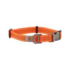 Carhartt Tradesman Dog Collar 1 Carhartt Tradesman Dog Collar -Hondenbenodigdheden Winkel carhartt tradesman dog collar oranje l 113239 0500 none