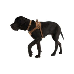 Carhartt Work Dog Harness -Hondenbenodigdheden Winkel carhartt work dog harness 186805 1000 none