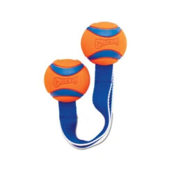 Chuckit! Ultra Duo Tug -Hondenbenodigdheden Winkel chuckit ultra duo tug 122951 0500 none