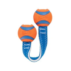 Chuckit! Ultra Duo Tug -Hondenbenodigdheden Winkel chuckit ultra duo tug 122954 0500 none