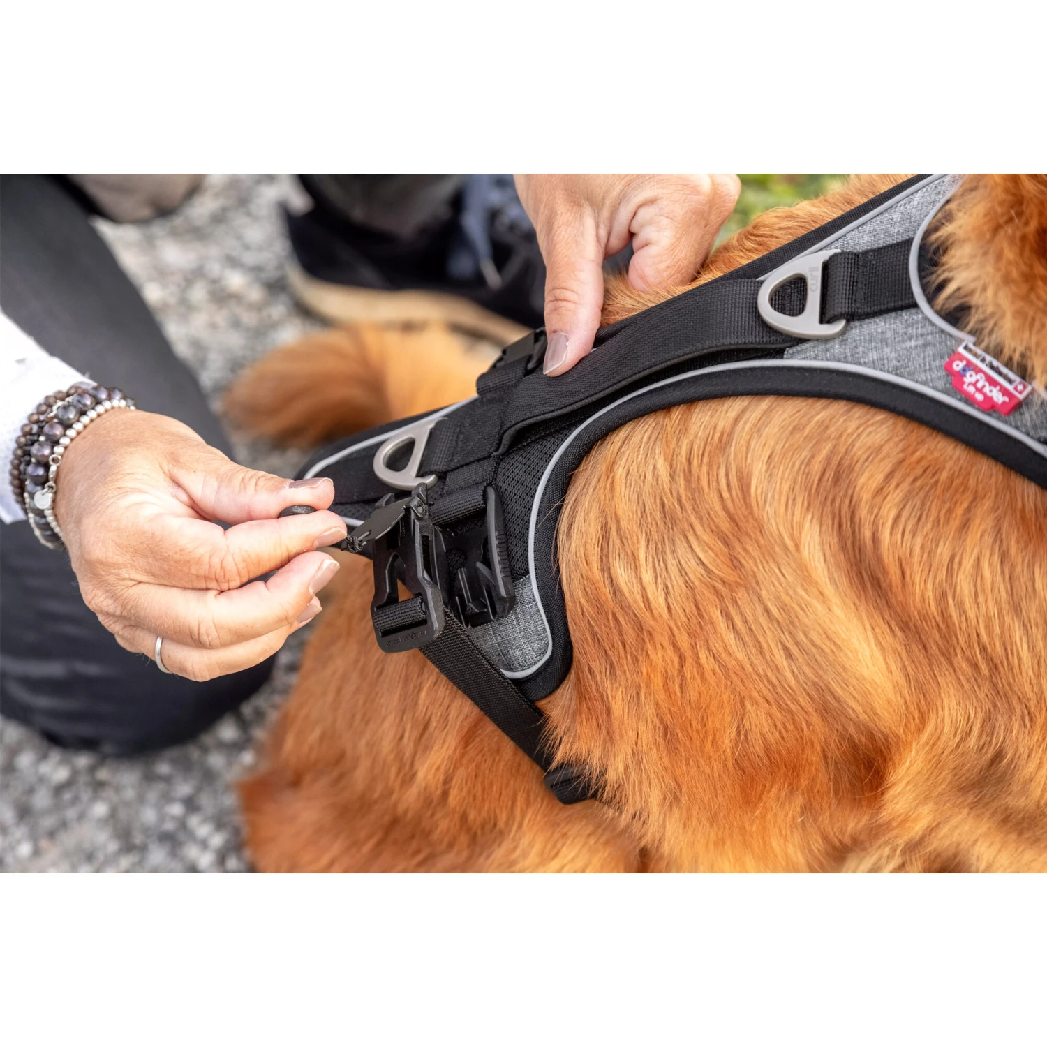 Curli Magnetic Belka Comfort Harness 10 Curli Magnetic Belka Comfort Harness - Afbeelding 8