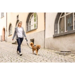 Curli Magnetic Belka Comfort Harness 19 Curli Magnetic Belka Comfort Harness -Hondenbenodigdheden Winkel curli magnetic belka comfort harness 219394 2000 none