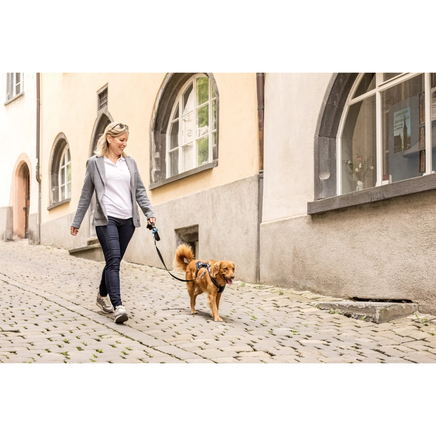 Curli Magnetic Belka Comfort Harness 11 Curli Magnetic Belka Comfort Harness - Afbeelding 9