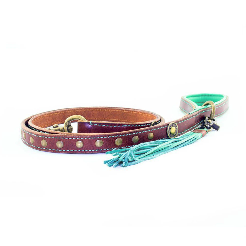 DWAM Hondenriem Joe 3 DWAM Hondenriem Joe