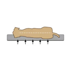 Beeztees Bench Kussen Ito -Hondenbenodigdheden Winkel dceuWwK8iG2ChIkyH137X4AsWeqcwX metaQmVlenRlZXMtTWVtb3J5LUZvYW0tVW1hLUhvbmRlbm1hbmQtb3J0aG9wZWRpc2NoLTIuanBn