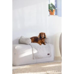 Designed By Lotte Bankkussen Ribbed -Hondenbenodigdheden Winkel designed by lotte bankkussen ribbed 222738 2000 none