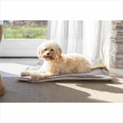 Designed By Lotte Benchkussen Gisel -Hondenbenodigdheden Winkel designed by lotte benchkussen gisel 221518 1500 none