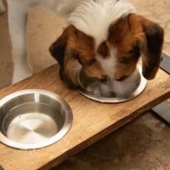 Designed By Lotte Houten Dinerset Karinto -Hondenbenodigdheden Winkel designed by lotte houten dinerset karinto 164311 2000 none