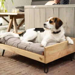 Designed By Lotte Ligmand Turana -Hondenbenodigdheden Winkel designed by lotte ligmand turana 170029 2000 none