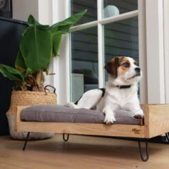 Designed By Lotte Ligmand Turana -Hondenbenodigdheden Winkel designed by lotte ligmand turana 170032 2000 none